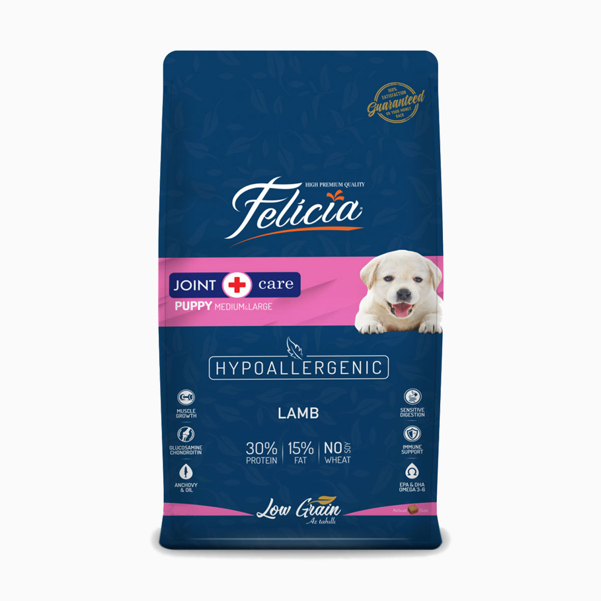 Köpek-Kuru-Felicia-popey